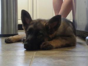 "Don't hold your breath, pal..."